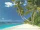 Seychelles, Anse St. Sauveur, Praslin - Seychelles