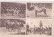 Carte 1920 MULTIVUES CHEVAUX DE COURSES / STEEPLE CHASE / COURSES D'OBSTACLES - Chevaux