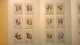 FRANCOBOLLI STAMPS CINA CHINA RARITA' 1962-63 SERIE COMPLETA FOLK DANCE MNH** FOLDER DEPLIAN CHINESE DANZE TRADIZIONALI - Nuovi