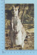 Animal - Grey Kangaroo Mother And Baby, Cover Australy 1974 On 2 Stamp By Air Mail - Autres & Non Classés