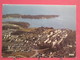 29 - Concarneau Nom Breton Konk Kernew - Le Rouz Et La Pointe Du Cabellou - Scans Recto-verso - Concarneau