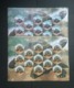 INDIA ALDABRA GIANT TORTOISE 2 DIFFERENT SHEETLETS MNH LOOK !! - Turtles