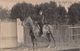 ¤¤  -   Carte-Photo Militaire  -  Cavalier Sur Son Cheval  -  32 Sur Son Képi   -  ¤¤ - Manoeuvres