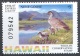 3148 Fauna Birds Ducks Hunting Wildlife Conservation Stamps Ecology 1997 Hawai USA 1v Set MNH ** Sc.1 =$10 - Ducks