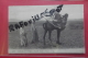 Cp Scenes Et Types Famille Arabe En Voyage N 6179 - Africa