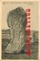 Delcampe - DOLMEN Et MENHIRS - 9 CARTES ANCIENNES à PETIT PRIX - PIERRE MEGALITHIQUE MEGALITHE - MENHIR - VISUELS TOUS VISIBLES - Dolmen & Menhirs