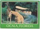 OCALA, FLORIDA, Silver Springs, Used Postcard [20699] - Silver Springs