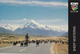 Big Postcard Of A Sheep Mustering,New Zealand.,Size=180mmx120mm.APROX,L42. - New Zealand