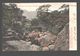 Hongkong / Hong Kong - A Picturesque Spot Near The Racquet Court - 1906 - Single Back - Chine (Hong Kong)