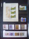 Delcampe - Album Collezione Madeira 1980/95 (m96) - Collections (with Albums)