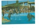 Antibes Marineland Dauphin  ( Lot De 2 Cartes ) - Altri & Non Classificati