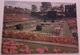 P. 25 – HAMPTON COURT PALACE – MIDDLESEX – THE POND GARDEN – VIAGG. 1965 – (2096) - Middlesex