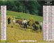 CALENDRIER ALMANACH DES PTT 1991 FENAISON DANS LES PYRENEES ET MOISSON A L ANCIENNE - Groot Formaat: 1991-00