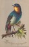 Découpis Oiseau Sur Une Branche " Bonheur Et Prospérité " - Animales