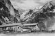 ENGELBERG → Herrenrütti Mit Viehherde Und Den Spannörter, Ca.1910 - Engelberg