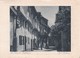 CARTOLINA - POSTCARD - GERMANIA  - DETMOLD - ADILFSTRASSE - Detmold