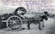 DINTORNI DI ROMA - Kutsche Mit Geschmücktem Pferd, Transport Von Fässer 1912 - Transportmiddelen