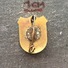 Badge (Pin) ZN006222 - Kuwait University - Altri & Non Classificati