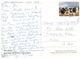 (777) Australia - (with Stamp At Back Of Card) QLD - The Ringer Statue - Far North Queensland