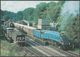 North Yorkshire Moors Railway A4 60007 Sir Nigel Gresley At Goathland Station - RMM Postcard - Trains