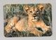 ANIMALS Pocket Calendar 2014 UKRAINE Lion Lionet - Tamaño Pequeño : 2001-...