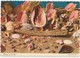 Treasure Of The Sea, Sea Shells, 1973 Used Postcard [20732] - Other & Unclassified