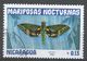 Nicaragua 1983. Scott #1230 (U) Butterfly, Xilophanes Chiron - Nicaragua