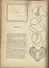 Delcampe - ENCYCLOPEDIE IN ZEGELS N° 10 - DE INSEKTEN ( VLINDERS BUTTERFLIES PAPILLON - KEVERS COLEOPTERA BEETLES ) 1957 - Encyclopédies