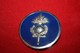 Ancien Insigne  Beret GN - Police