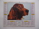 CALENDRIER P.T.T. POSTE POSTES 1973 ALMANACH CALENDAR KALENDER Chien Setter PMU Course Hippique - Grand Format : 1971-80