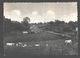 Héron - Le Fond De Boingt - Vaches - Nels Photothill - Heron