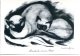 CHAT Et Chaton - Lot De 2 CPM - Illustrateur Maxime JUAN - Une Famille De Siamois - Moustache Et Son Petit - Katzen