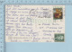 Floride - Monkey Car Driver, Singe Humanisé, Used In 1974 + Stamp  - Carte Postale PostCard - Animaux Habillés