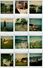 Lot De 130 Photos Couleur Polaroids Originales, Personnes, Lieux, Divers Thèmes 1970/80 - Albums & Collections