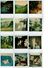 Lot De 130 Photos Couleur Polaroids Originales, Personnes, Lieux, Divers Thèmes 1970/80 - Albums & Collections