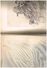 Delcampe - Illustrateur Trés Rare Unser Bismarck Style BD 150 Dessins 250 X 340 Signés Avec Nom Date Commentaire Rédigé En Gothique - 4. 1789-1914