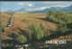 Modern Picture Postcard - Rail Fence In The Sneffels Range, Colorado, United States - Used - MPC 315 - World