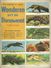 ENCYCLOPEDIE IN ZEGELS N° 21 WONDEREN UIT DE DIERENWERELD ( ALLIGATOR OCTOPUS TAPIR  GALAPAGOS TURTLE CAMELEON ...) 1958 - Encyclopedia