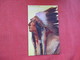 Chief  Eagle Feather   Native Americans-----ref 2799 - Indiani Dell'America Del Nord