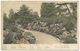 Kew Gardens The Rockery - Hildesheimer- Postmark 1905 - Londres – Suburbios