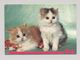 ANIMALS Pocket Calendar Cat Cats 1993 RUSSIA Fauna - Formato Piccolo : 1991-00