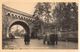 Beauraing - CPA - Avenue De La Grotte Et Arbre Des Apparitions - Beauraing