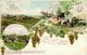 Kolonien PALÄSTINA - Gruss Aus Dem Heiligen Lande Mit Rechobhoth, 1899 I-II Colonies Montagnes - Storia