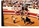 PHOTO----CORRIDA ---40---DAX--arènes De DAX  18 Août  1982---voir 2 Scans - Sport