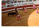 PHOTO----CORRIDA ---40---DAX--arènes De DAX  18 Août  1982---voir 2 Scans - Sport