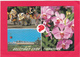 Modern Multi View Post Card Of Greetings From Singapore,B34. - Singapore