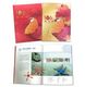 Rep China Taiwan Complete Beautiful 2017 Year Stamps Year Book Type A - Full Years