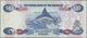 Bahamas: Rare Set Of 2 CONSECUTIVE Notes Of 100 Dollars 1996 P. 67, Hard To Find As Consecutive Pair - Bahamas