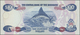 Bahamas: Rare Set Of 2 CONSECUTIVE Notes Of 100 Dollars 1996 P. 67, Hard To Find As Consecutive Pair - Bahamas