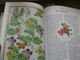 Delcampe - Loisirs  Créatifs  Points De Croix  English Garden Embroidery ( Stafford Whiteaker) 144 Pages - Bricolaje